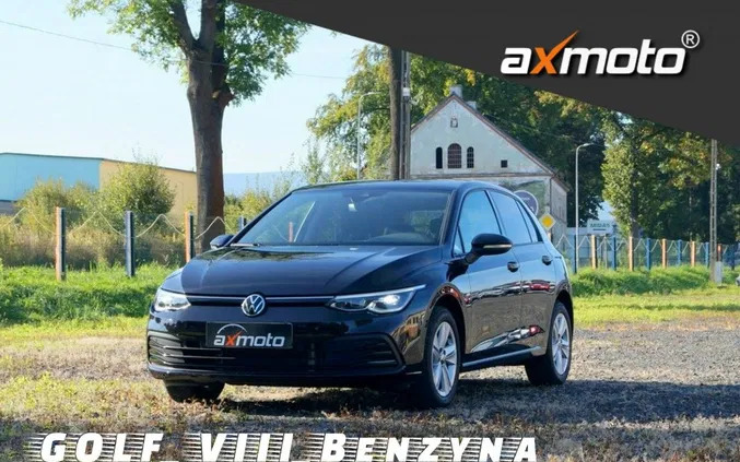 dębno Volkswagen Golf cena 76800 przebieg: 41273, rok produkcji 2020 z Dębno